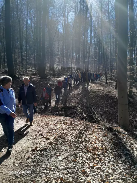 Durch den Gailbacher Wald | Foto: Ferdinand Lang