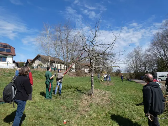 Foto: Sabine Herkert-Schork, Landschaftserhaltungsverband  Neckar-Odenwald-Kreis e.V. 