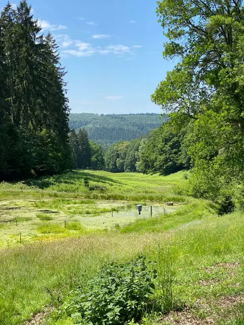 Das Haselbachtal | Foto: Barbara Kolb