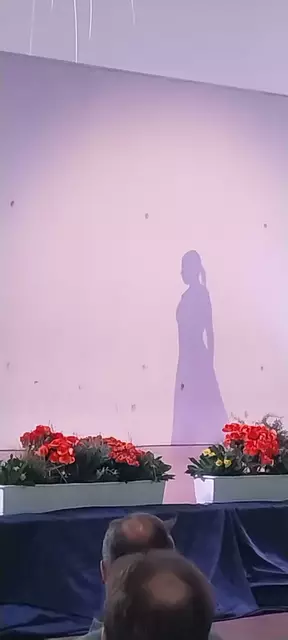 "Im Westen nichst Neues" als Tanzdarbietung der Schülerin Anna Kittner: Ein Highlight beim LET 2025! | Foto: LEV-RS