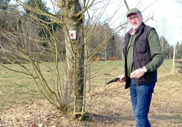 Droht das Schild im Frühsommer zu überwachsen, sollte die Klappsäge rechtzeitig zum Einsatz kommen, findet Rudi Lotz.

 | Foto: Spessartbund 1913 e.V.
