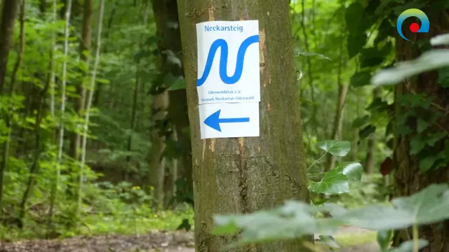 Foto: Neckarsteig-Büro