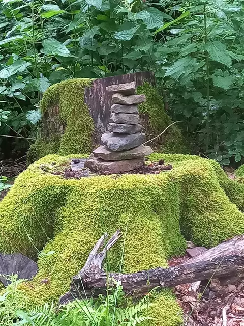 Foto: Stefanie Kath-Müller