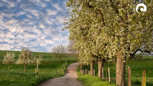 Bio-Musterregion Neckar-Odenwald: Förderung bis Juni 2028 zugesagt | Foto: Landratsamt Neckar-Odenwald-Kreis