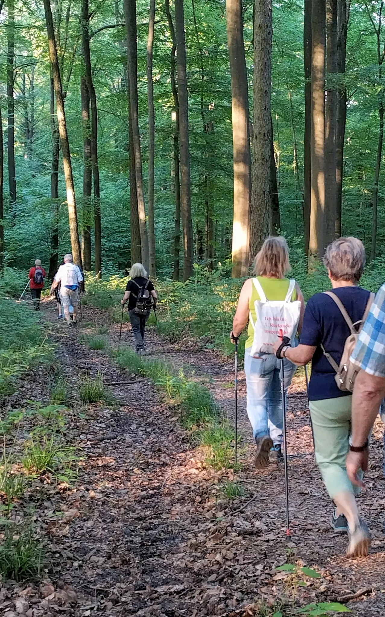 Die-amerikanische-Postbotenstudie