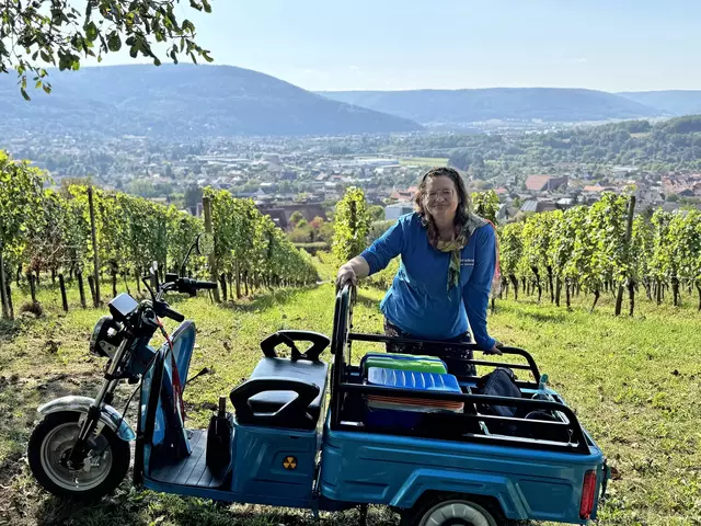Spaziergang in den Weinbergen inkl. Kostproben | Foto: Marianne Krommer