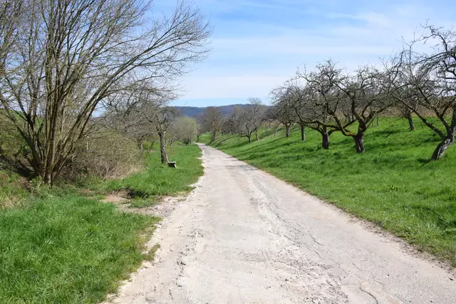 Durch Wald und Flur | Foto: Wolfgang Giegerich