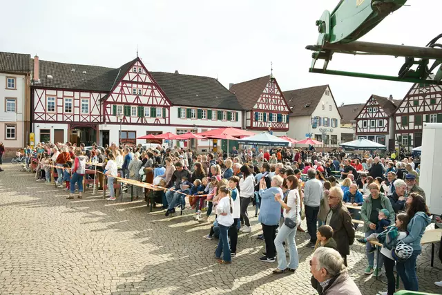 Maibaumaufstellung 2025 in Großostheim | Foto: Benjamin Nebel