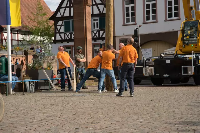 Maibaumaufstellung 2025 in Großostheim | Foto: Benjamin Nebel