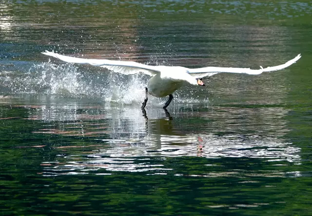 Start oder Landung - das ist hier die Frage!
