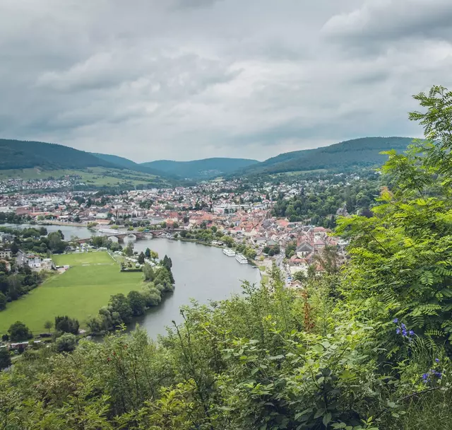 Über den Bismarckweg zur Mildenburg | Foto: Dominik Stapf