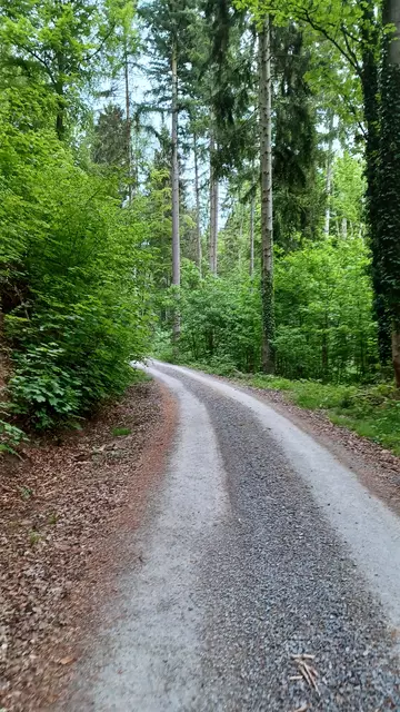 Im Steinbachtal | Foto: Wolfgang Giegerich