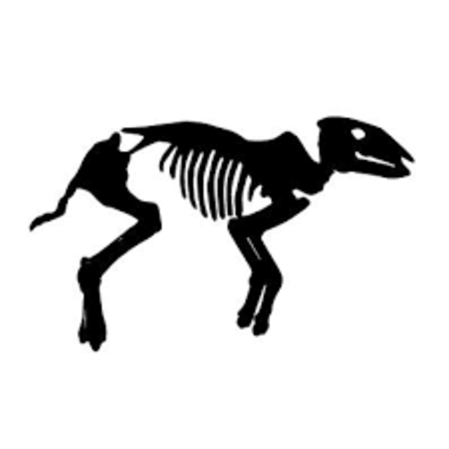 Grube Messel | Foto: Wanderfreunde Schönbusch