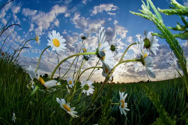 Mai-Morgen kurz nach Sonnenaufgang gegen sechs Uhr bei zwei Grad Celsius im Odenwald.
