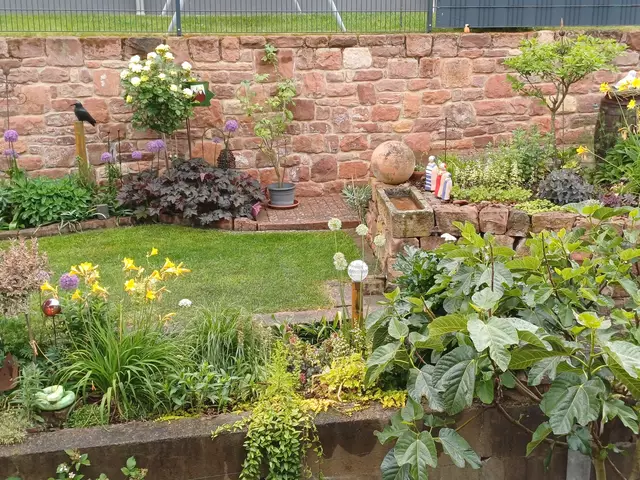 Garten von Familie Wolf in Klingenberg-Trennfurt. | Foto: privat