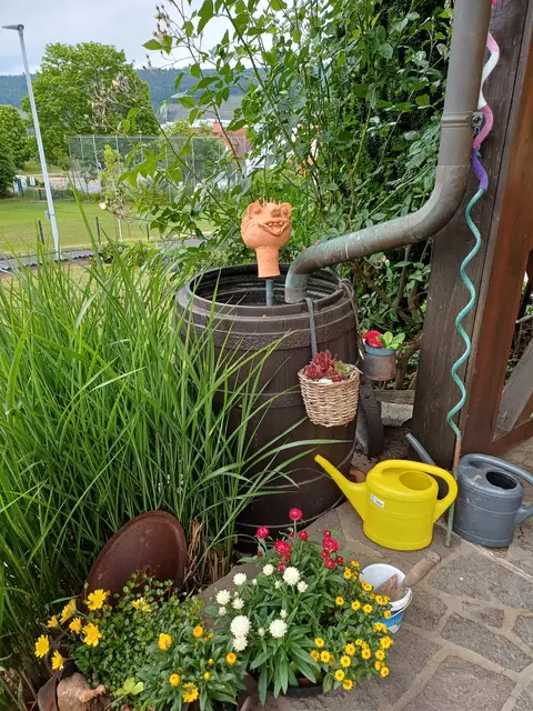 Garten von Familie Wolf in Klingenberg-Trennfurt. | Foto: privat