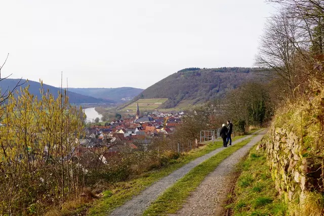 Auf einem Weinbergsweg  zwischen Miltenberg und Großheubach. 