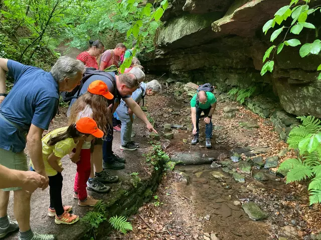 Günter Farka vom Bund Naturschutz - Kreisgruppe Miltenberg zeigt in der Seltenbachschlucht die Salamander-Larven.  | Foto: Spessartbund e.V. 