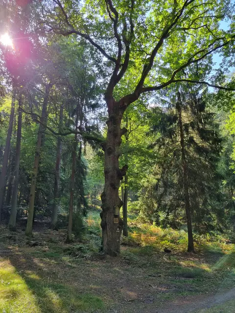 Foto: Kerstin Zischka