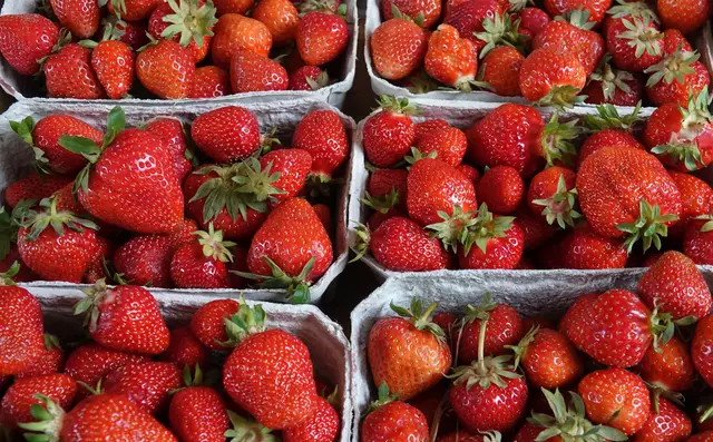 Der Name „Erdbeermond“ hat – trotz des besonderen Phänomens – nichts mit der Farbe des Mondes zu tun. 
