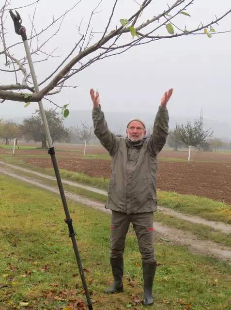 Josef Weimer erklärt den Kronenaufbau eines Obstbaums. | Foto: © Edwin Lieb