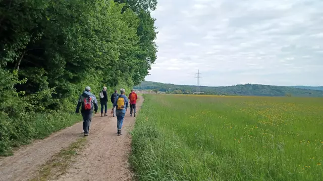 Quer durch den Spessart | Foto: Wolfgang Giegerich