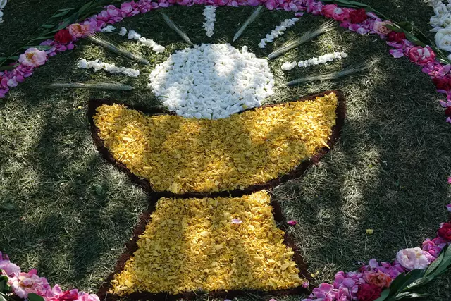 Fleißarbeit: farbenprächtiger Blumenteppich beim Fronleichnams-Fest in Miltenberg Schippach