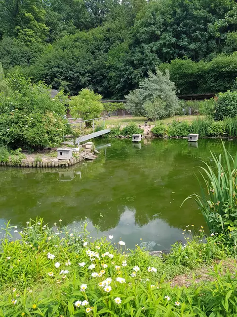 Foto: Claudia Müller