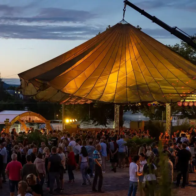 Musik und Lebensfreude auf dem MainFest | Foto: Privat