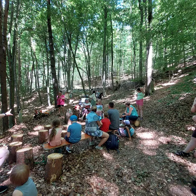 So stimmungsvoll können Märchen im Sommerwald sein. | Foto: privat - Wir in Mönchberg e.V.