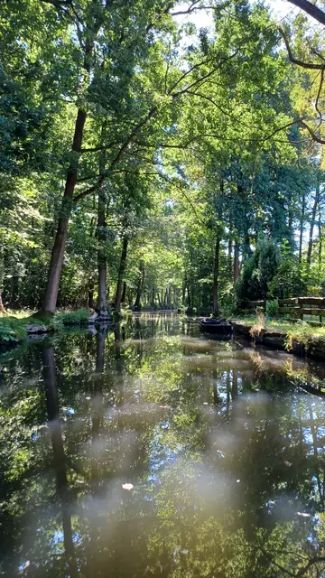 Licht und Schatten  | Foto: Wolfgang Giegerich