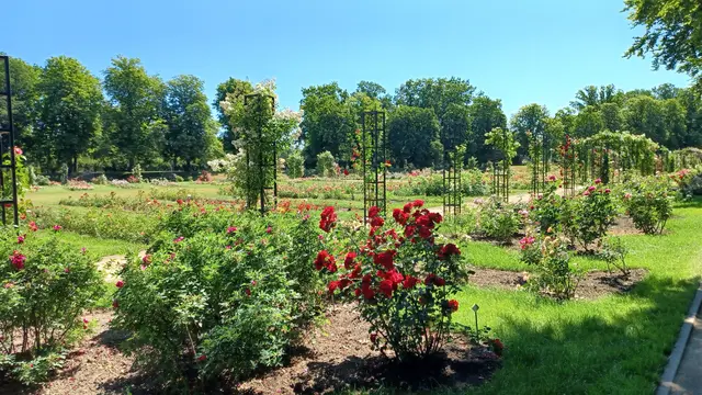Rosengarten Forst | Foto: Wolfgang Giegerich