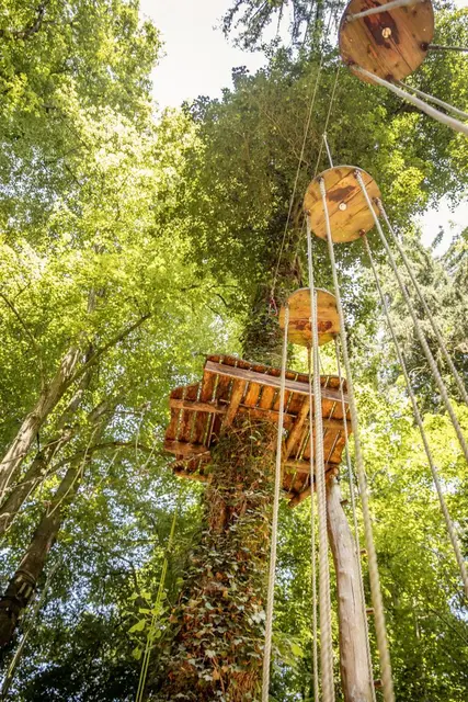 Es geht hoch hinaus | Foto: SLH Hobbach