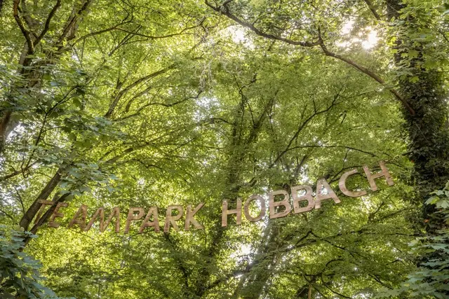 Im TeamPark Hobbach finden zahlreiche Teambuilding-Maßnahmen statt.  | Foto: SLH Hobbach