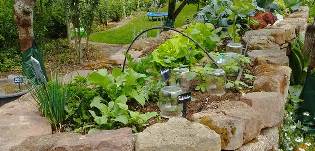 Foto: © LRA Miltenberg