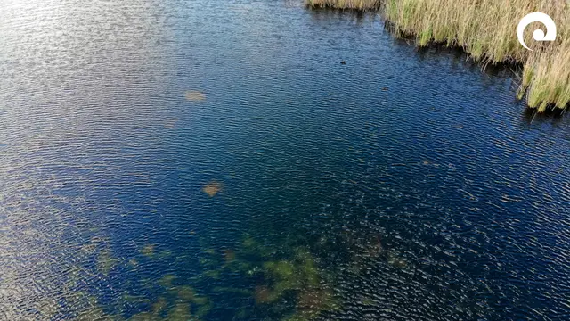 Foto: Landratsamt Neckar-Odenwald-Kreis