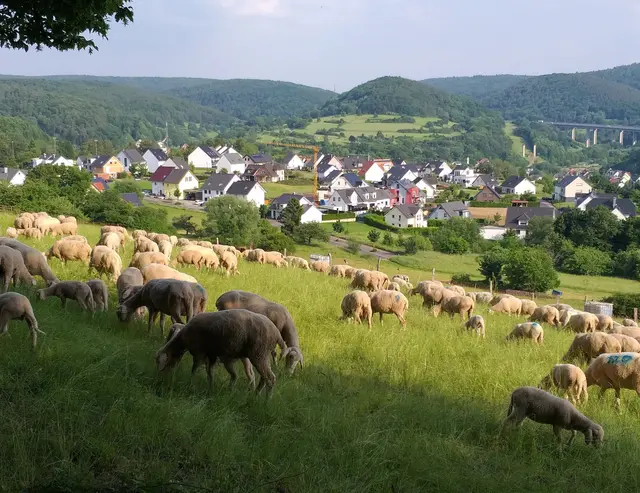 Blick in den Spessart | Foto: Günther Reichel