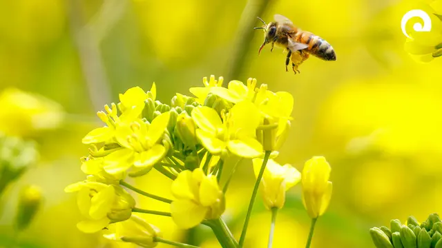 Foto: Landratsamt Neckar-Odenwald-Kreis
