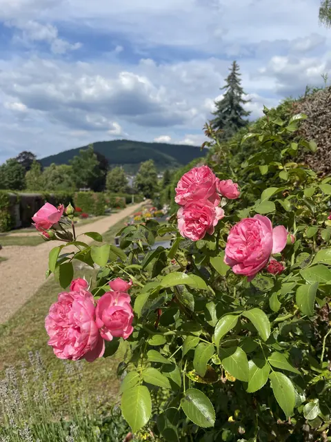 Im Hauptfriedhof in Miltenberg fand  Stadthistoriker Wilhelm Otto Keller seine letzte Ruhestätte.