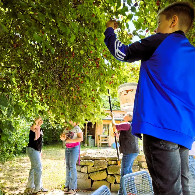 Schülerinnen und Schüler der AG „Soziales Wirken“ der Josef Anton Rohe Gemeinschaftsschule in Kleinwallstadt und Hausen haben sich Zeit genommen, um der Bewohnerschaft der Rohe’schen Stiftung eine Freude zu bereiten. | Foto: Joseph Anton Rohe'sche Altenheim-Stiftung