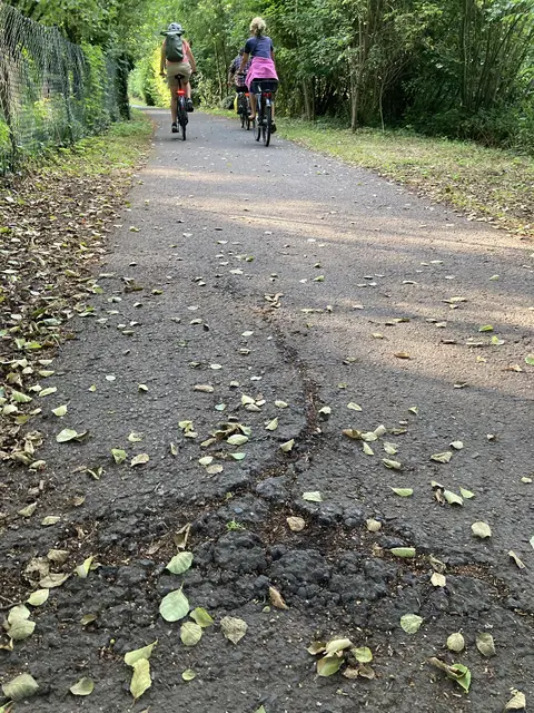 Der Radweg entlang der Elsava ist von vielen Wurzeldurchbrüchen geschädigt.