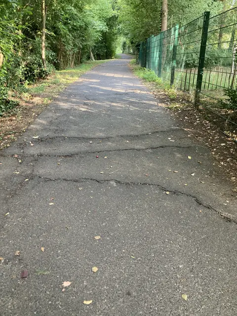 Der Radweg entlang der Elsava ist von vielen Wurzeldurchbrüchen geschädigt.