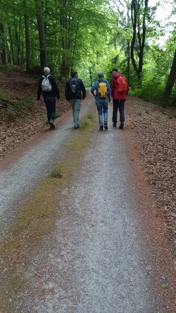 Feierabendwanderung | Foto: Wolfgang Giegerich