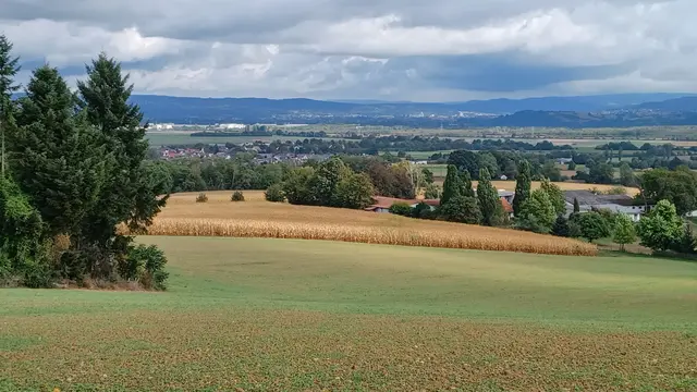 Blick ins Maintal | Foto: Wolfgang Giegerich