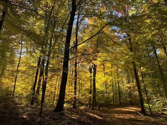 Foto: Stefanie Kath-Müller