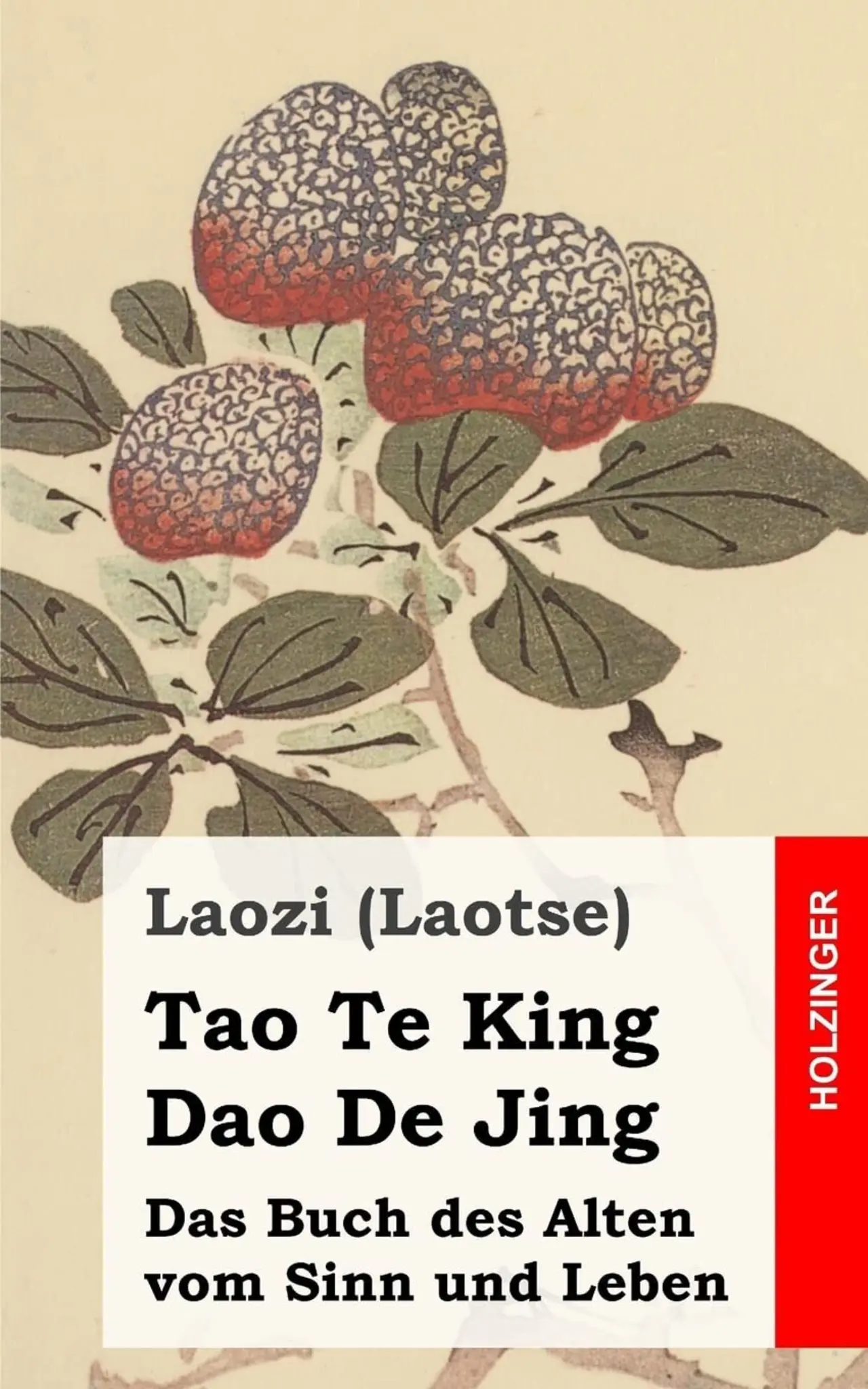 Dao-De-Jing-und-der-Krieg