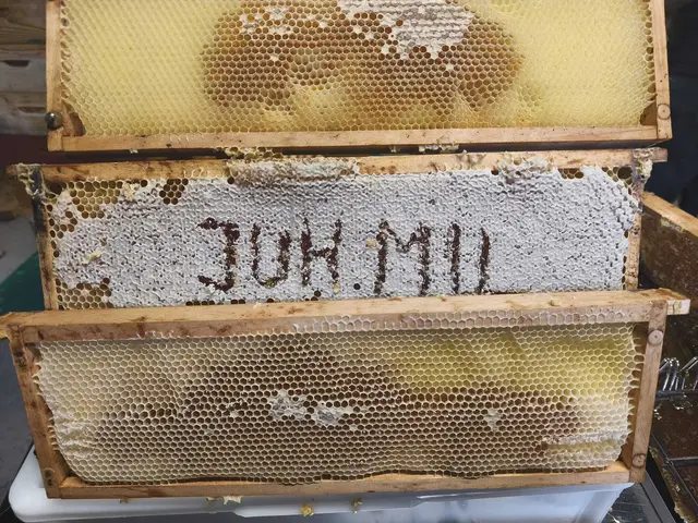 Foto: Karola Schuhmacher / Johanniter