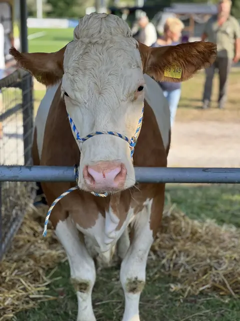 Foto: © Stadt Eberbach