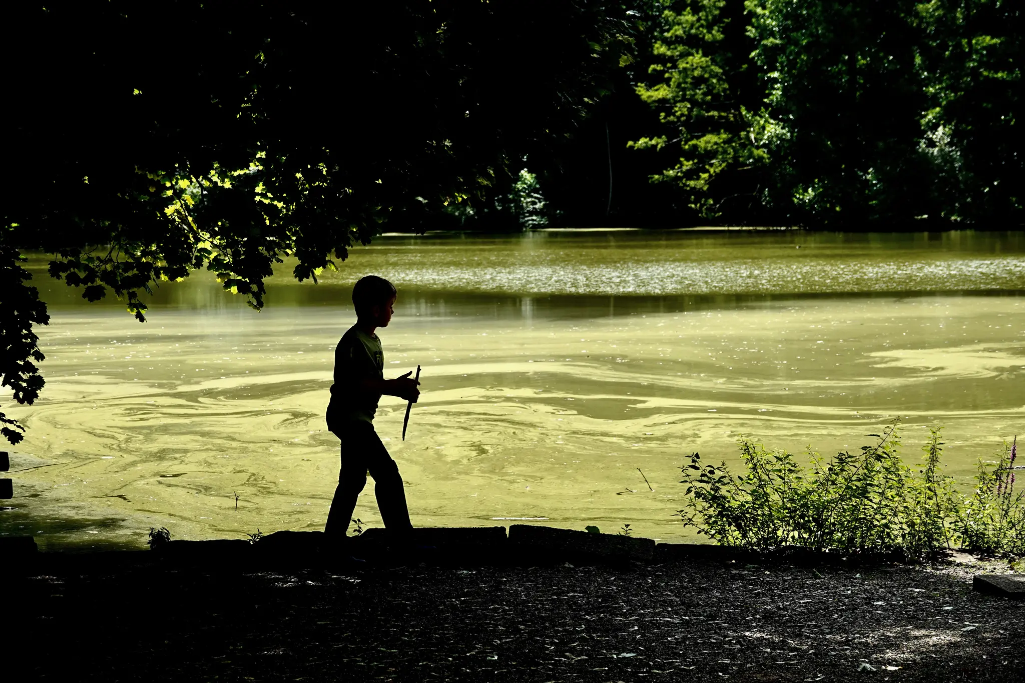 Der-Sommer-2025-ist-zur-ck-