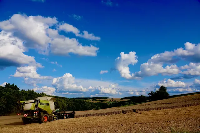 BU 1: Getreideernte im Odenwald bei Eichenbühl-Windischbuchen am vergangenen Samstag bei Windischbuchen.. Foto Roland Schönmüller.

